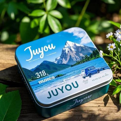 Chinese factories for tin containers